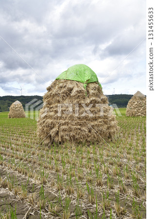 Photographing rice piling up in autumn in Kaminokuni, Hokkaido 131455633