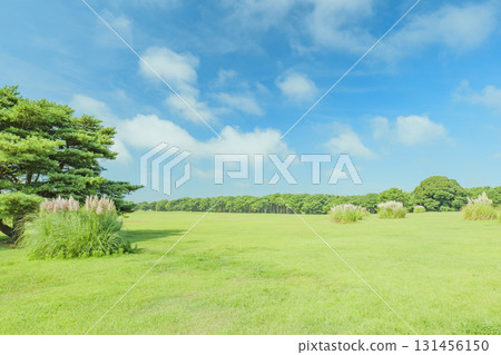 秋季的國營日立海濱公園 秋季的國營日立海濱公園 131456150