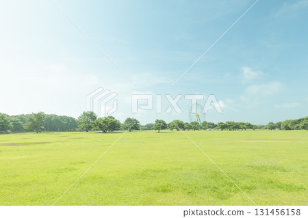 秋季的國營日立海濱公園 秋季的國營日立海濱公園 131456158