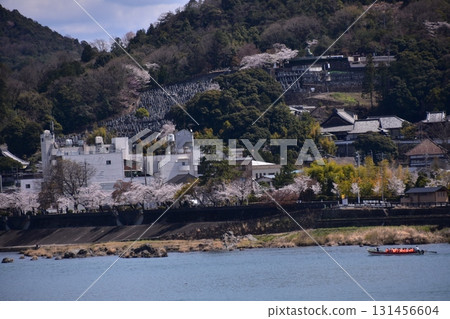 日本愛知縣犬山市 - 犬山城和春天盛開的櫻花 - 木曾川上的觀光船和美麗的櫻花樹 - 該地區的住宿和住宅 日本愛知縣犬山市 - 犬山城和春天盛開的櫻花 - 木曾川上的觀光船和美麗的櫻花樹 - 該地區的住宿和住宅 131456604