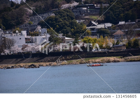 日本愛知縣犬山市 - 犬山城和春天盛開的櫻花 - 木曾川上的觀光船和美麗的櫻花樹 - 該地區的住宿和住宅 131456605