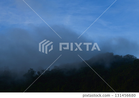 Fog covering dark forest mountains with blue sky above 131456680