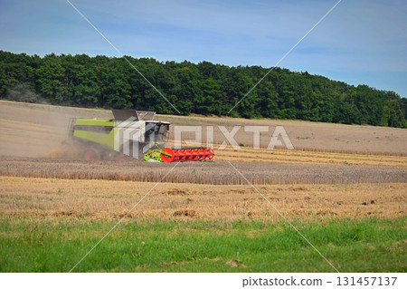 Combine harvester in the field harvesting grain in autumn harvest time. Concept for agriculture and industry. Combine harvester in the field harvesting grain in autumn harvest time. Concept for agriculture and industry. 131457137