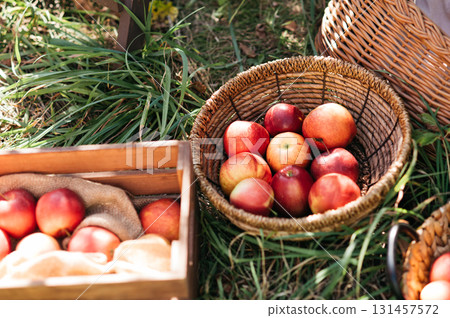 Fresh apples in a rustic woven basket placed in a wooden crate outdoors, autumn harvest concept representing healthy organic food, natural farming, and seasonal countryside lifestyle 131457572