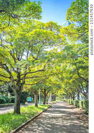 千葉市臨港公園長廊 131457630