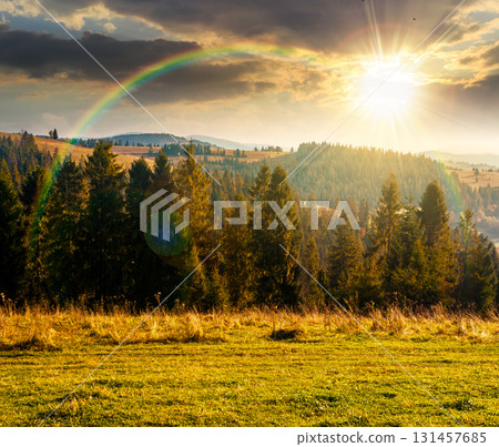 rural area of mountains in autumn at sunset. wonderful highland in evening light observed from the hillside. meadows on rolling hills near spruce forest. alpine travel destination rural area of mountains in autumn at sunset. wonderful highland in evening light observed from the hillside. meadows on rolling hills near spruce forest. alpine travel destination 131457685
