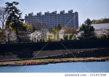 愛知縣犬山市:春天,犬山城和盛開的櫻花。木曾川上的觀光船和美麗的櫻花樹。附近有公寓和住宿設施。 愛知縣犬山市:春天,犬山城和盛開的櫻花。木曾川上的觀光船和美麗的櫻花樹。附近有公寓和住宿設施。 131457896