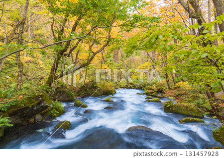 青森縣十和田市奧入瀨溪谷紅葉 131457928
