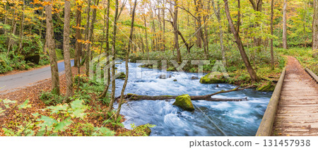 青森縣十和田市奧入瀨溪谷紅葉 131457938