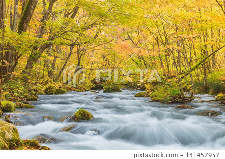 青森縣十和田市奧入瀨溪谷紅葉 131457957