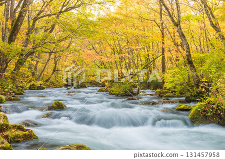 "Aomori Prefecture" Oirase Gorge with Autumn Leaves, Towada City 131457958
