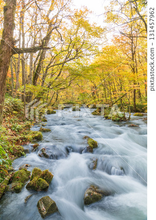 "Aomori Prefecture" Oirase Gorge with Autumn Leaves, Towada City 131457962