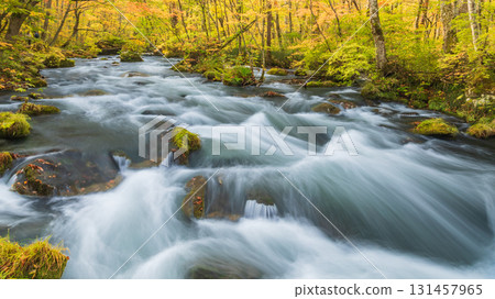 "Aomori Prefecture" Oirase Gorge with Autumn Leaves, Towada City 131457965