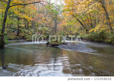 青森縣十和田市奧入瀨溪谷紅葉 131458010