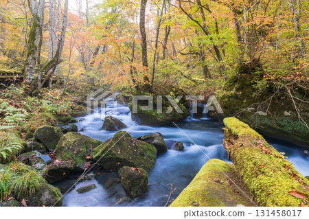 "Aomori Prefecture" Oirase Gorge with Autumn Leaves, Towada City "Aomori Prefecture" Oirase Gorge with Autumn Leaves, Towada City 131458017