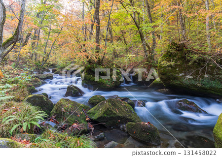 青森縣十和田市奧入瀨溪谷紅葉 131458022