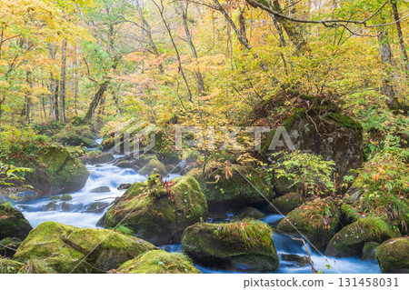 "Aomori Prefecture" Oirase Gorge with Autumn Leaves, Towada City 131458031
