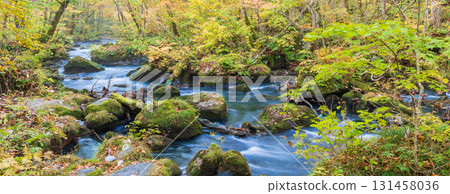 "Aomori Prefecture" Oirase Gorge with Autumn Leaves, Towada City "Aomori Prefecture" Oirase Gorge with Autumn Leaves, Towada City 131458036