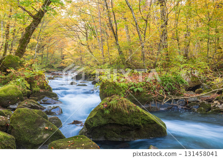 青森縣十和田市奧入瀨溪谷紅葉 131458041