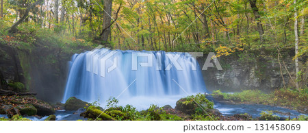 "Aomori Prefecture" Oirase Gorge with Autumn Leaves, Towada City "Aomori Prefecture" Oirase Gorge with Autumn Leaves, Towada City 131458069