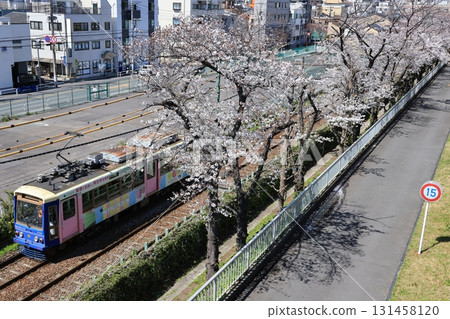 Tokyo Sakura Tram running alongside Arakawa Nature Park in Arakawa Ward, Tokyo 131458120
