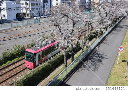 東京櫻花有軌電車沿著東京荒川區的荒川自然公園行駛 131458121