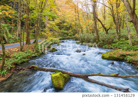青森縣十和田市奧入瀨溪谷紅葉 131458129