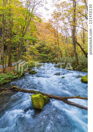 "Aomori Prefecture" Oirase Gorge with Autumn Leaves, Towada City 131458130