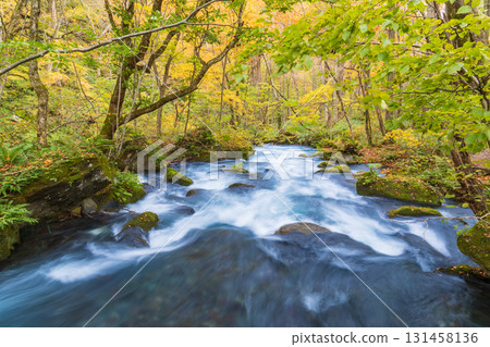 "Aomori Prefecture" Oirase Gorge with Autumn Leaves, Towada City 131458136