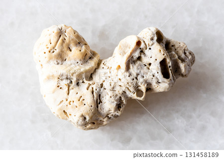 sample of dried coral on white marble sample of dried coral on white marble 131458189