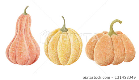 Autumn pumpkins illustration for fall harvest season, Thanksgiving day and Halloween 131458349