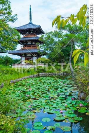 Three-story pagoda and water lilies in the pond at Hokiji Temple in Ikaruga Town, Nara Prefecture Three-story pagoda and water lilies in the pond at Hokiji Temple in Ikaruga Town, Nara Prefecture 131458528