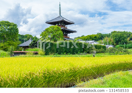 Ikaruga Town, Nara Prefecture: The three-story pagoda of Hokiji Temple and golden rice fields Ikaruga Town, Nara Prefecture: The three-story pagoda of Hokiji Temple and golden rice fields 131458533