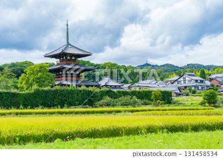 Ikaruga Town, Nara Prefecture: The three-story pagoda of Hokiji Temple and golden rice fields 131458534