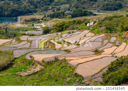 <Saga Prefecture> Rice terraces in Oura and rural scenery overlooking Imari Bay <Saga Prefecture> Rice terraces in Oura and rural scenery overlooking Imari Bay 131458545