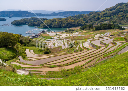 <Saga Prefecture> Rice terraces in Oura and rural scenery overlooking Imari Bay 131458562