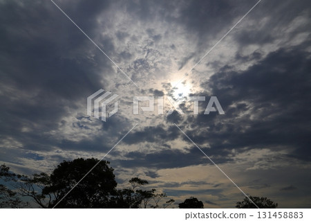 Cloudy sky, sun, trees Cloudy sky, sun, trees 131458883