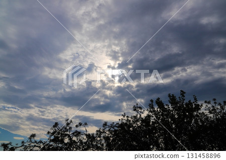 Cloudy sky, sun, trees 131458896