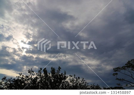 多雲的天空，太陽，樹木 131458897