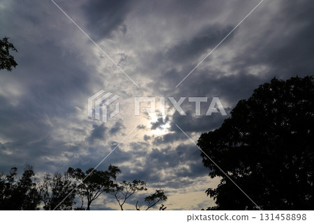 多雲的天空，太陽，樹木 131458898