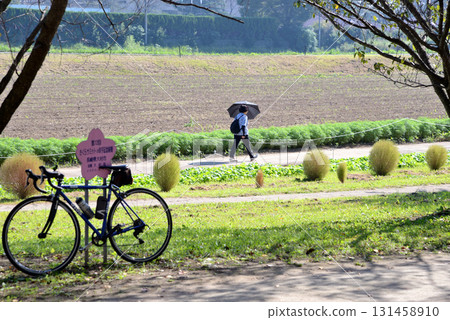 河畔公園停放的腳踏車和撐著陽傘行走的人 131458910