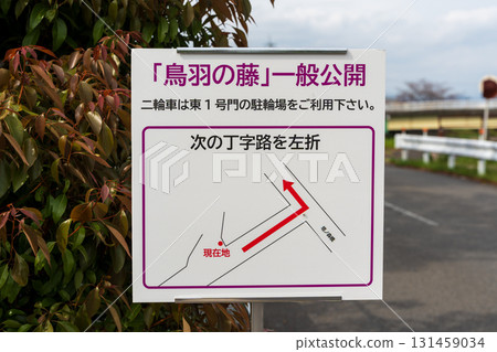 鳥羽紫藤，京都市水道局：鳥羽水環境保護中心 131459034