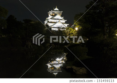 Osaka Castle and the water mirror at night 131459113