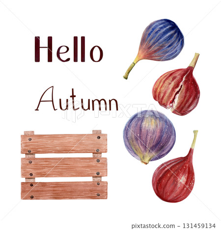 Figs and rustic wooden crate autumn set. Hand-painted Watercolor seasonal illustrations with text Hello Autumn. Perfect for fall invitations, holiday cards, packaging, and cozy kitchen decorations Figs and rustic wooden crate autumn set. Hand-painted Watercolor seasonal illustrations with text Hello Autumn. Perfect for fall invitations, holiday cards, packaging, and cozy kitchen decorations 131459134