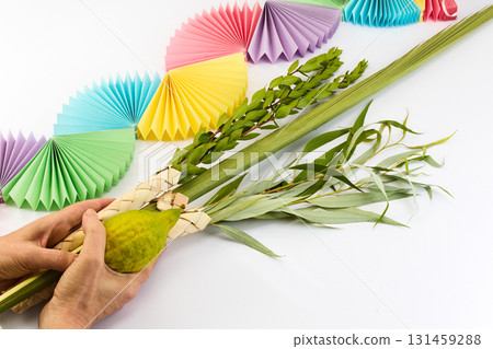 Jewish festival of Sukkot. Traditional symbols Etrog and Lulav in hands Jewish festival of Sukkot. Traditional symbols Etrog and Lulav in hands 131459288