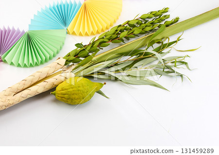 Jewish festival of Sukkot. Traditional symbols Etrog and Lulav Jewish festival of Sukkot. Traditional symbols Etrog and Lulav 131459289