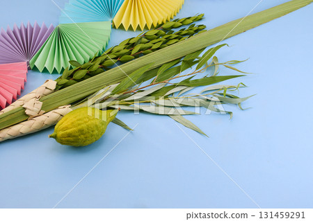 Jewish festival of Sukkot. Traditional symbols Etrog and Lulav on blue 131459291