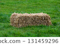 A Rectangular Hay Bale in a Field at a Country Show 131459296