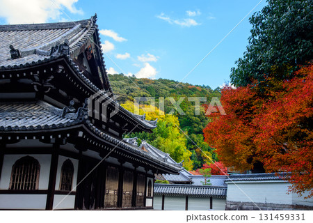 染上秋葉的泉湧寺 染上秋葉的泉湧寺 131459331