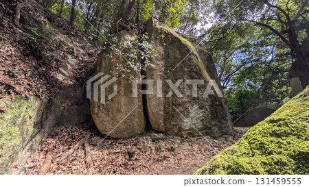 Iwafune Shrine, Katano City, Osaka Prefecture 131459555